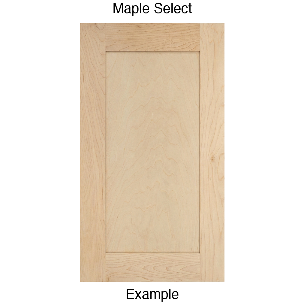 Arcadia Recessed Panel Cabinet Door in Maple Select