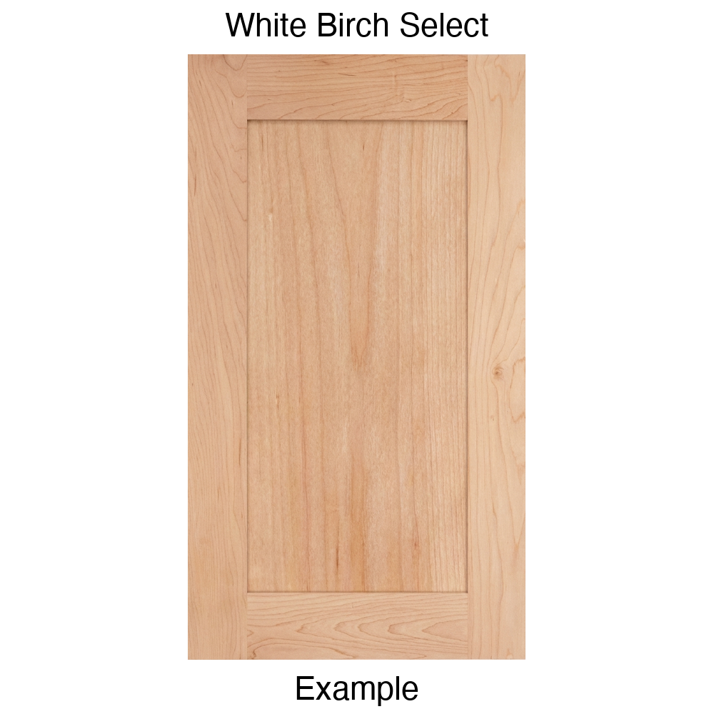 Arcadia Recessed Panel Cabinet Door in White Birch Select
