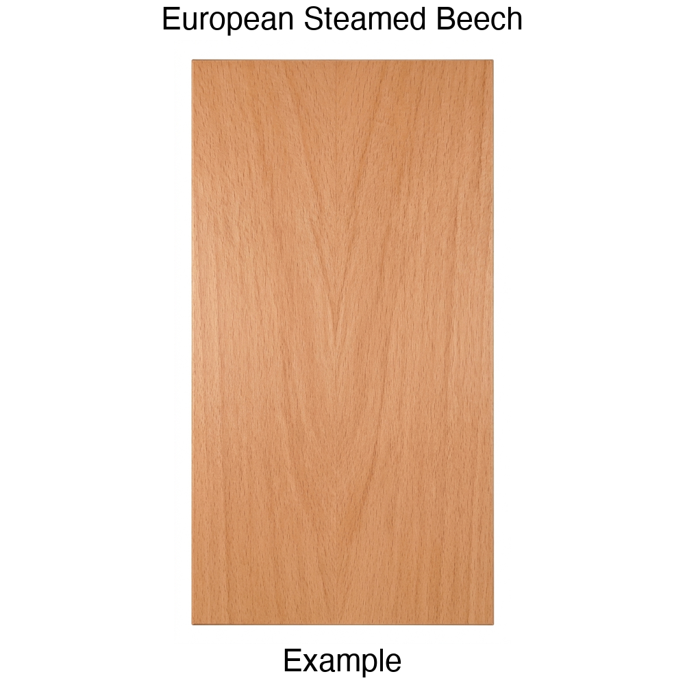 Aries Slab Cabinet Door