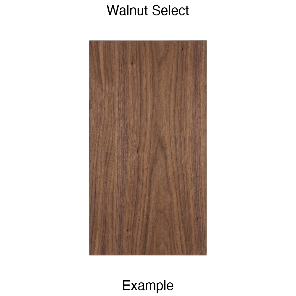 Aries Slab Cabinet Door