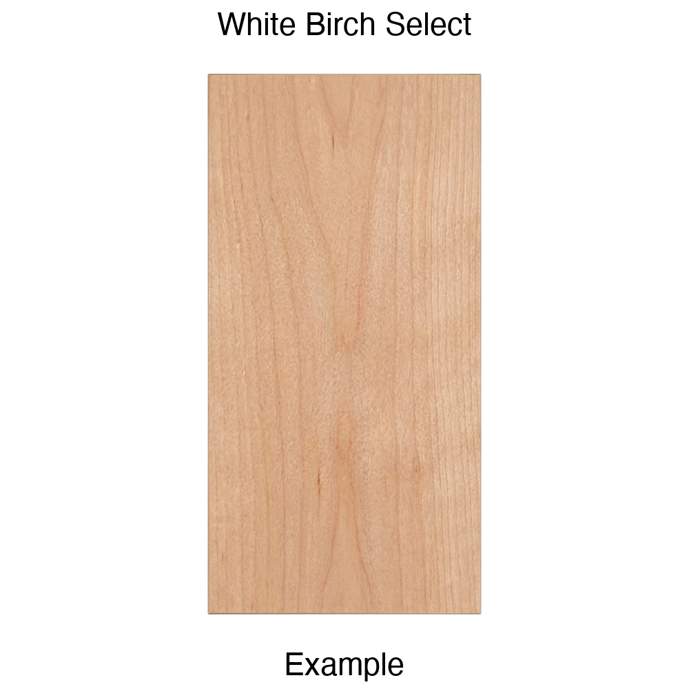Aries Slab Cabinet Door