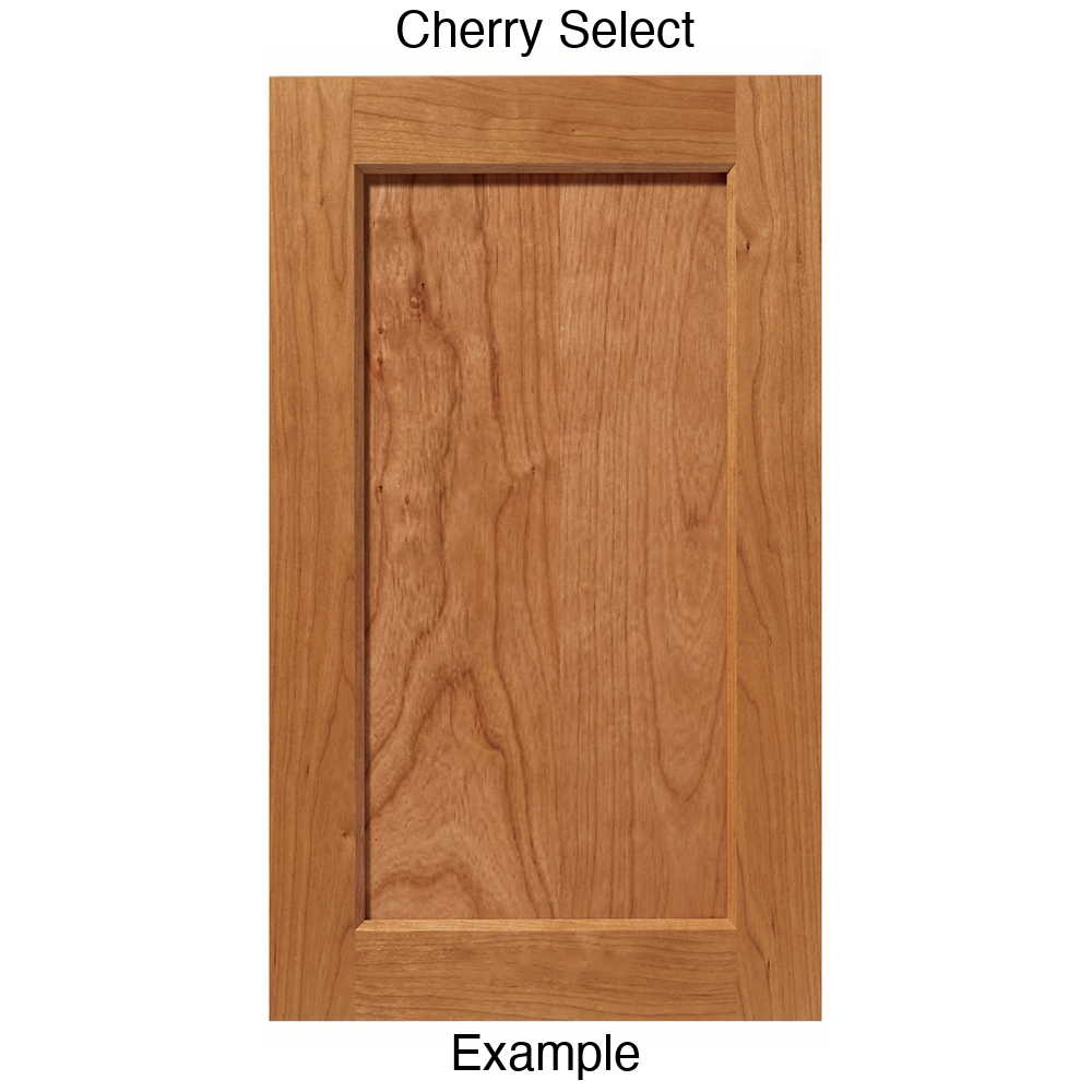 Artesia Recessed Panel Cabinet Door in Cherry Select