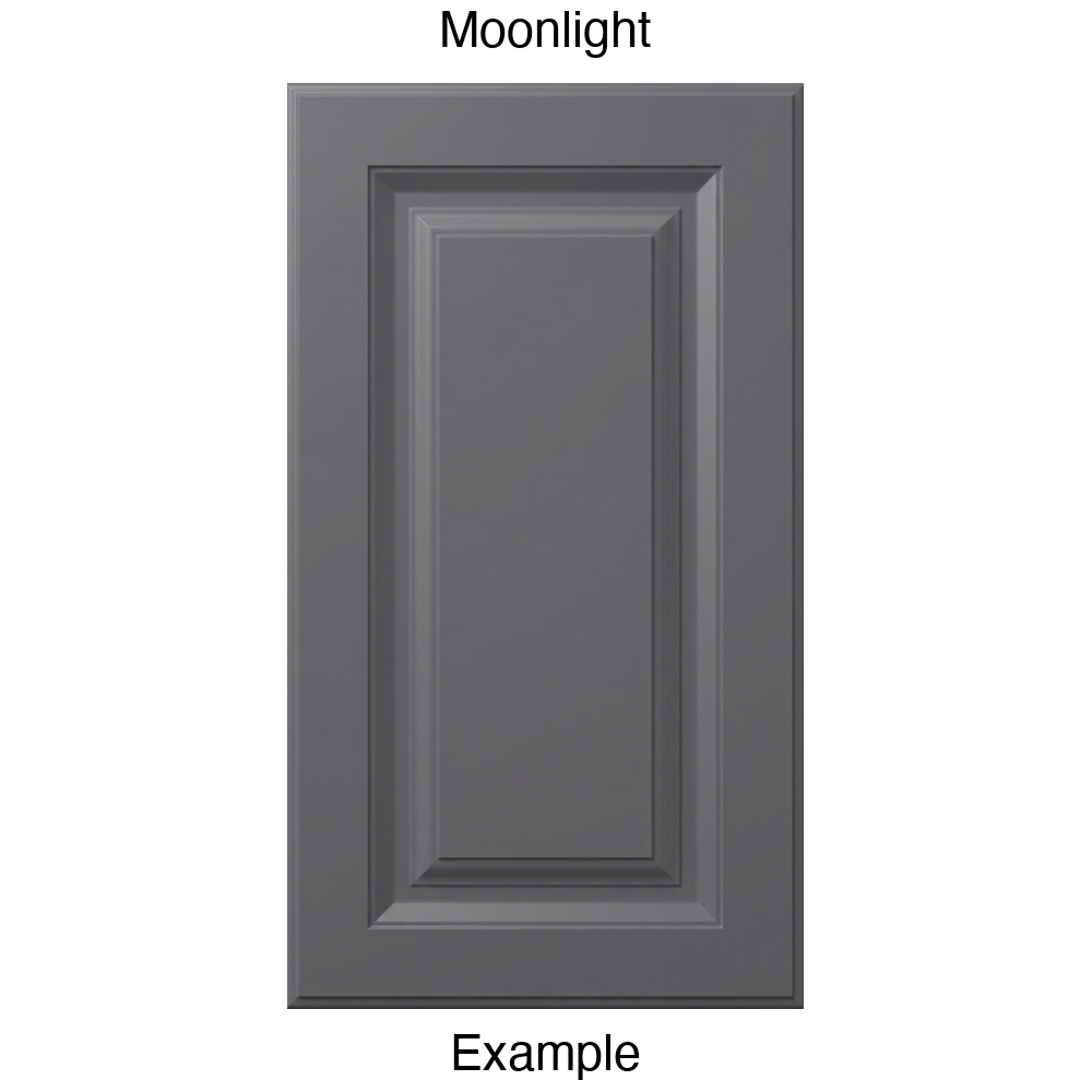 FS842 Raised Panel Thermofoil Cabinet Door in Moonlight