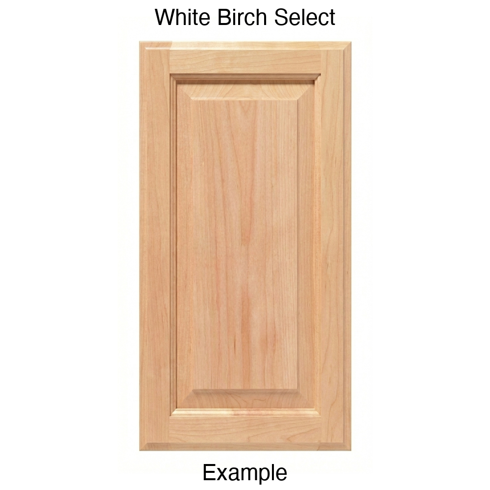Revere Raised Panel Cabinet Door in White Birch Select