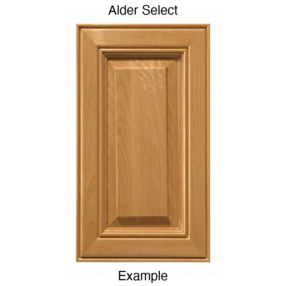 Brighton Raised Panel Cabinet Door in Alder Select