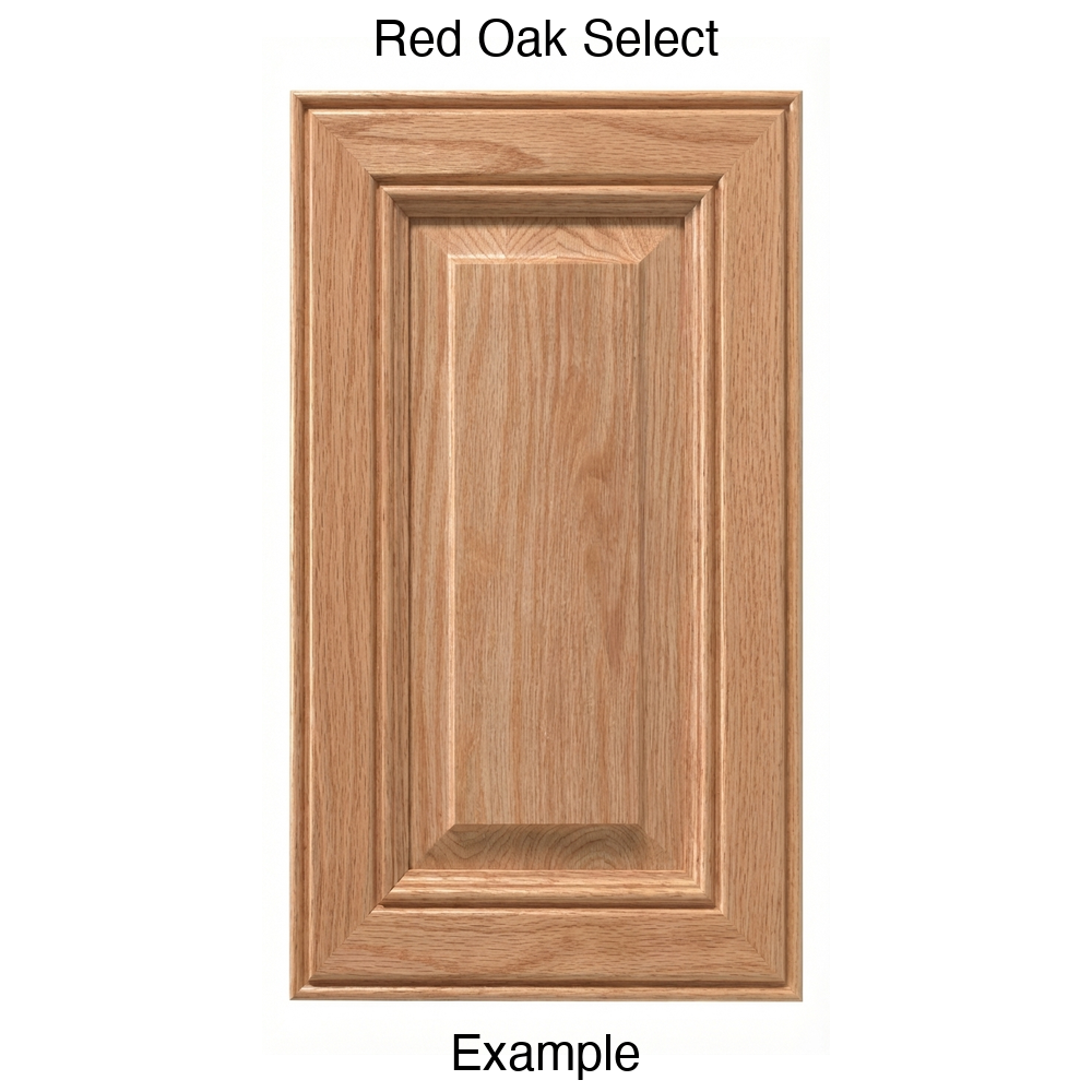 Brighton Raised Panel Cabinet Door in Red Oak Select