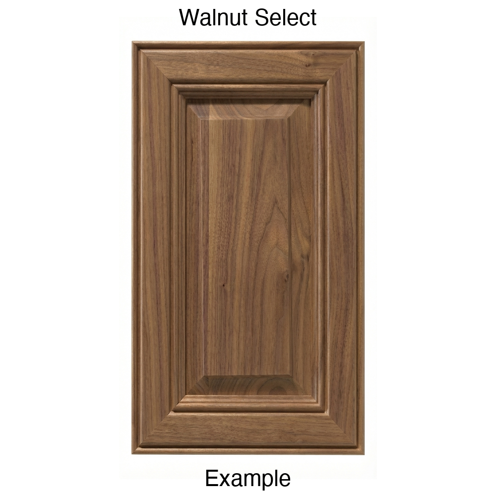 Brighton Raised Panel Cabinet Door in Walnut Select