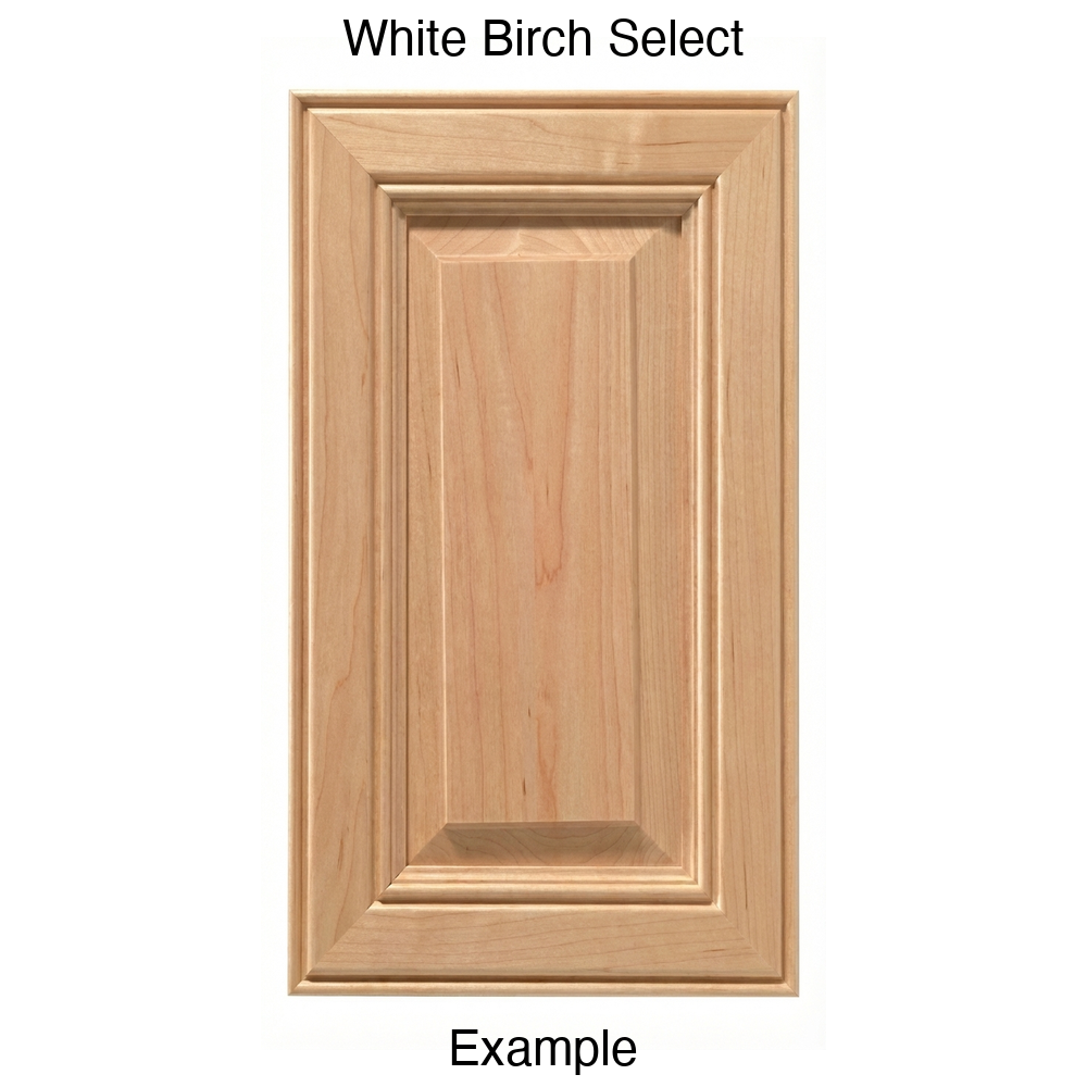 Brighton Raised Panel Cabinet Door in White Birch Select