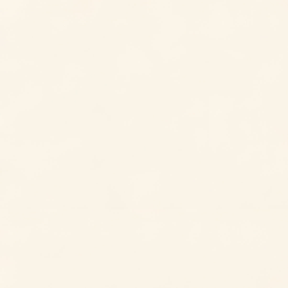 Cabinet door and drawer color sample in mission white