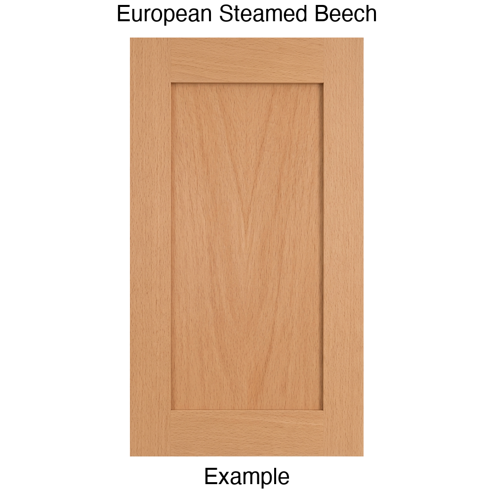 Arcadia Recessed Panel Cabinet Door