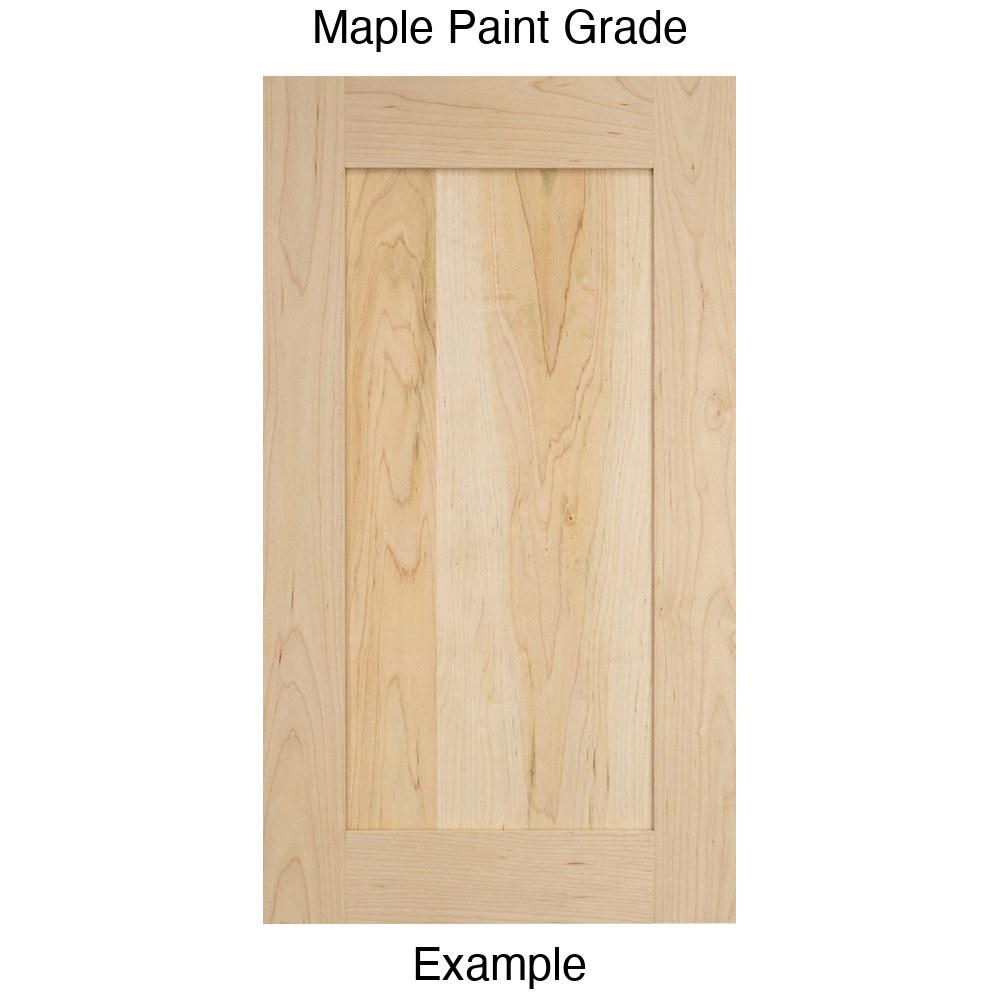 Arcadia Recessed Panel Cabinet Door in Maple Paint Grade