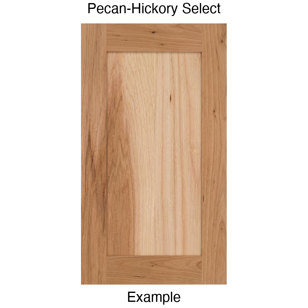 Arcadia Recessed Panel Cabinet Door in Pecan-Hickory Select