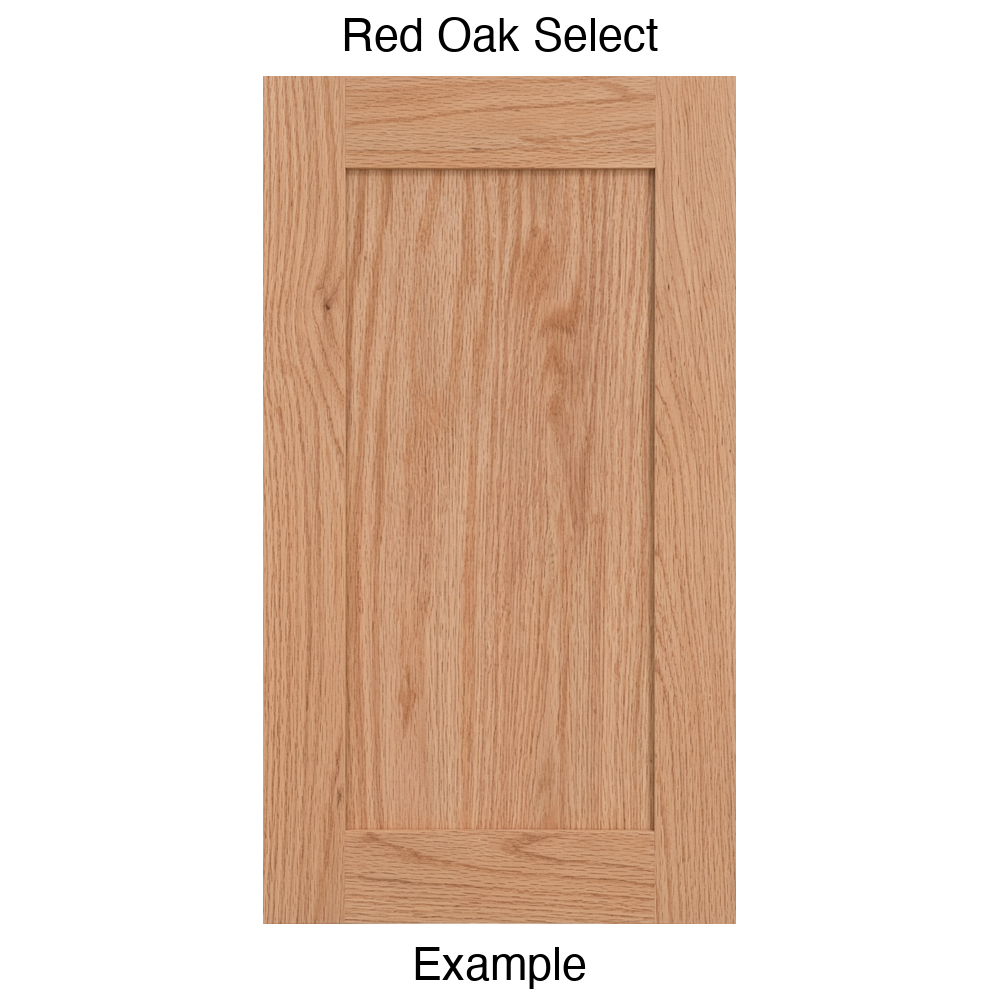 Arcadia Recessed Panel Cabinet Door in Red Oak Select
