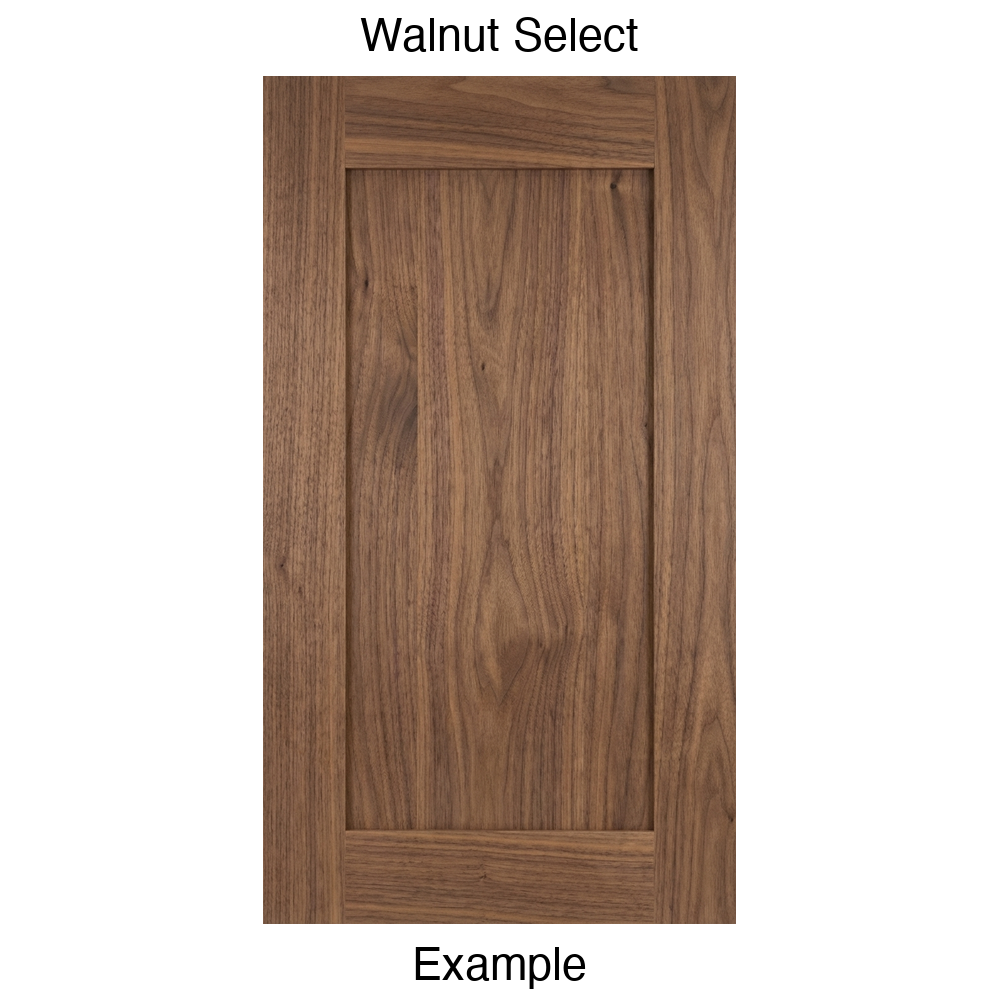 Arcadia Recessed Panel Cabinet Door in Walnut Select