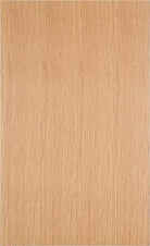 Aries slab stye flat panel cabinet door