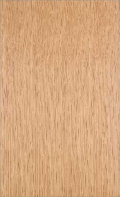 Aries slab stye flat panel cabinet door