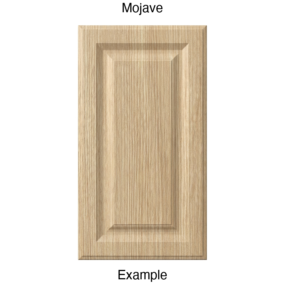FR556 Raised Panel Thermofoil Cabinet Door in Mojave