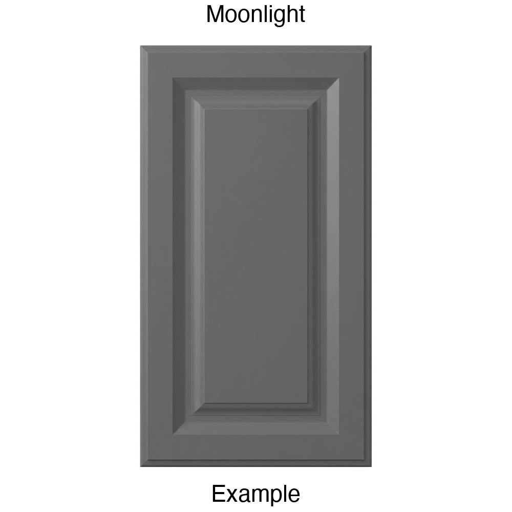 FR556 Raised Panel Thermofoil Cabinet Door in Moonlight
