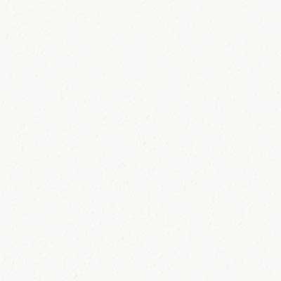 SL250 3/4" Melamine Cabinet Door | Plank Style