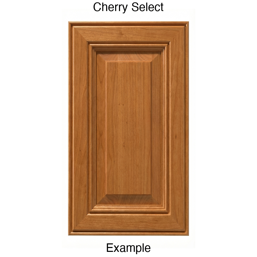 Brighton Raised Panel Cabinet Door in Cherry Select