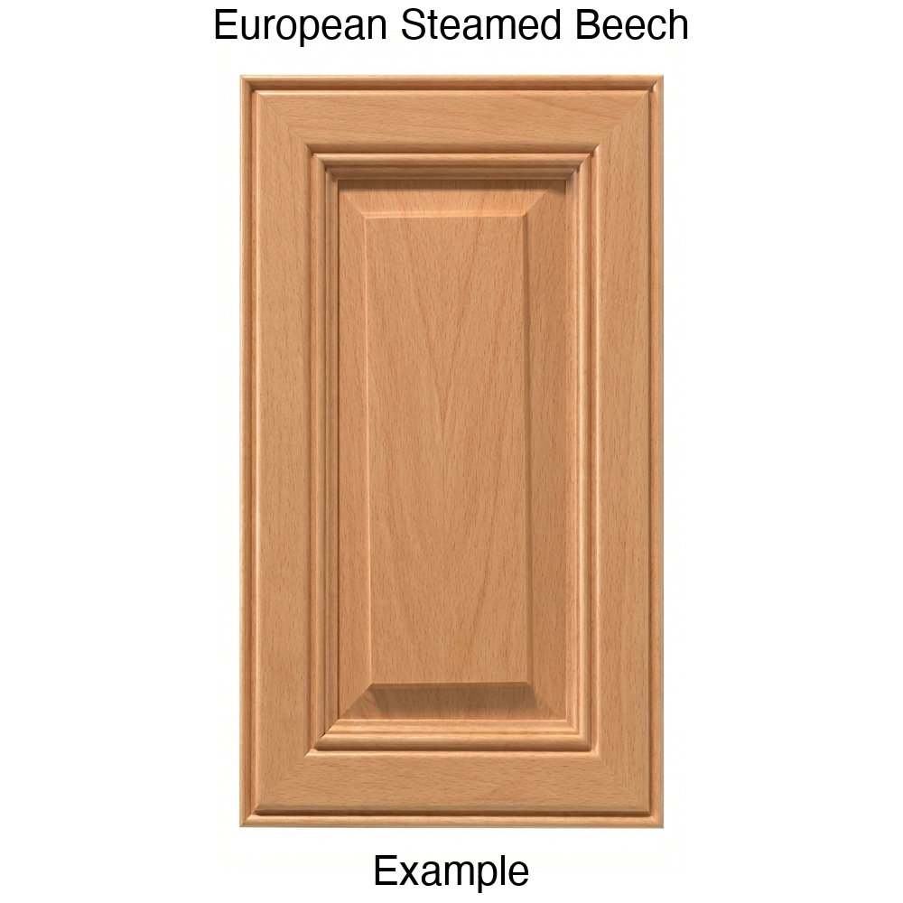 Brighton Raised Panel Cabinet Door in European Steamed Beech