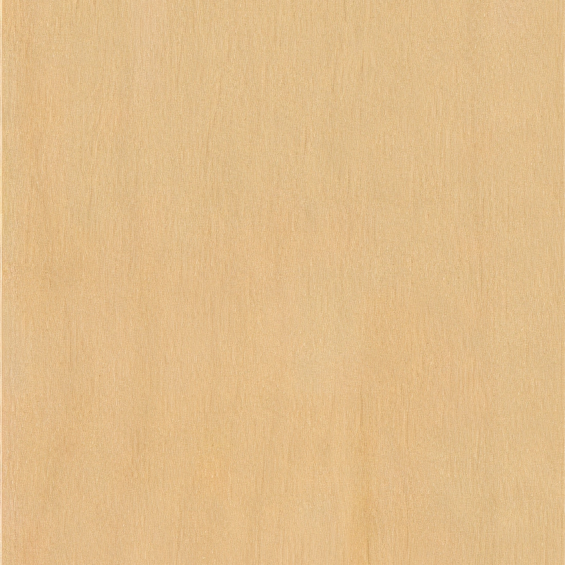 Cabinet door and drawer color sample in natural maple